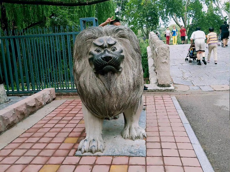  公园石狮子 